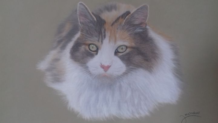 Peinture intitulée "jolie chatte isabel…" par Portraits Animaliers, Œuvre d'art originale, Pastel