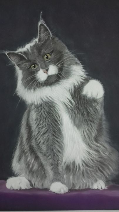 Painting titled "magnifique chat mai…" by Portraits Animaliers, Original Artwork, Pastel