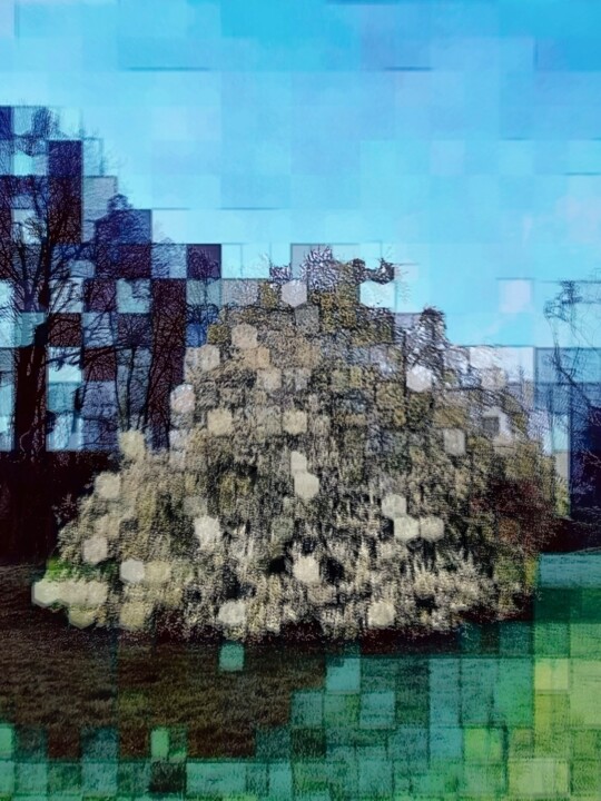 Arte digitale intitolato "plum tree in bloom…" da Marcelle Delacité, Opera d'arte originale, Pittura digitale