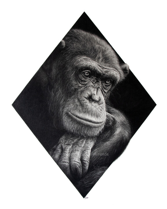 Dibujo titulada "Chimpanzé" por Magali Lapeyre-Mirande, Obra de arte original, Lápiz