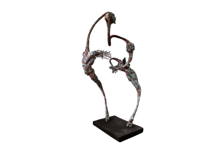 Sculpture titled "The Sharing" by Mahesh Chathuranga Ekanayake, Original Artwork, Metals