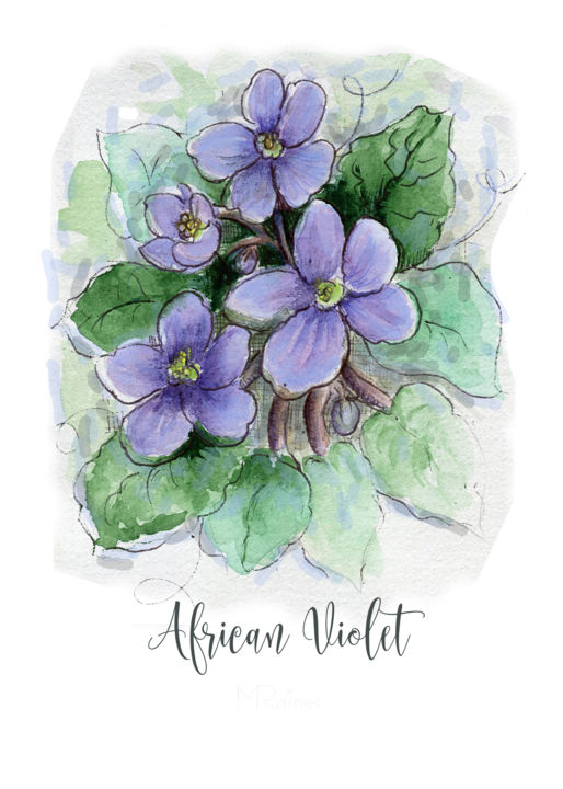 Schilderij getiteld "African Violet" door Malinda Ann Raines, Origineel Kunstwerk, Aquarel