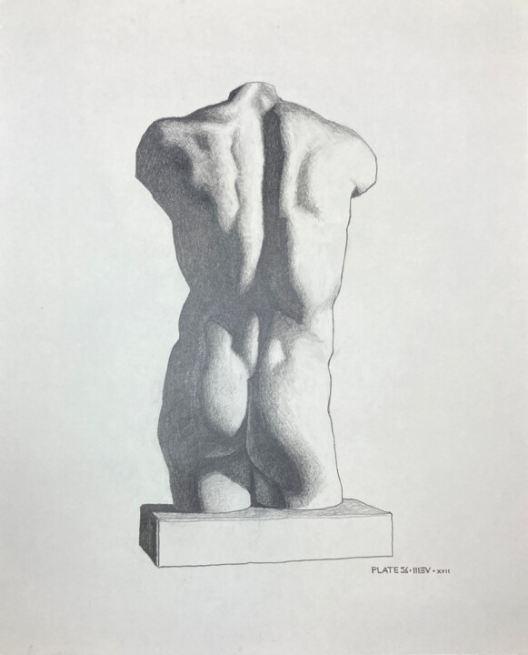 Tekening getiteld "Male Torso, Rear Vi…" door Michael E. Voss, Origineel Kunstwerk, Grafiet