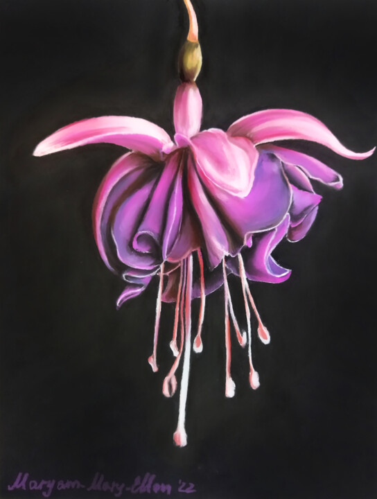 Pittura intitolato "Fuchsia blossom" da Mariam Mary Ellen, Opera d'arte originale, Pastello