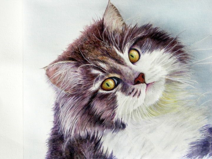 Pittura intitolato "IL GATTO" da Margherita Cavassa, Opera d'arte originale, Olio