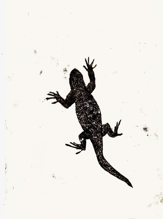 Prenten & gravures getiteld "Lézard" door Marine Lahaix, Origineel Kunstwerk, Monotype