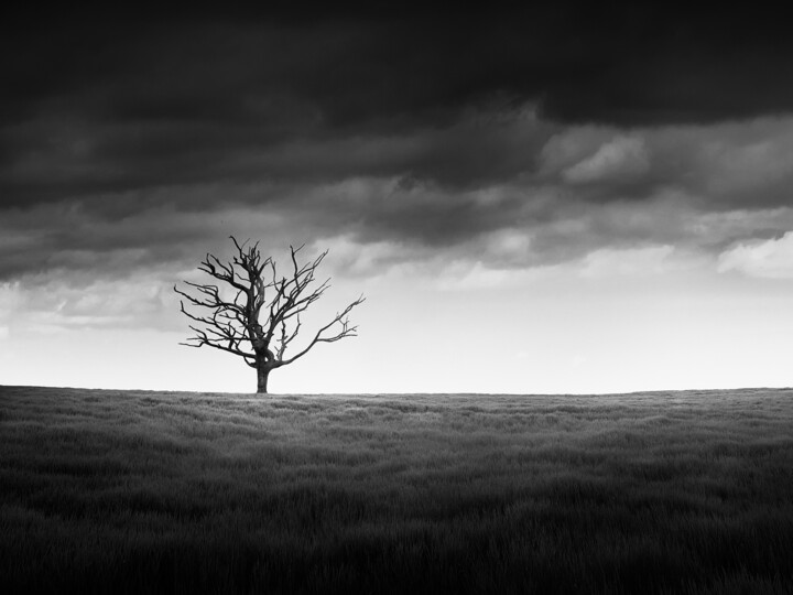 Fotografia zatytułowany „Resilience - Limite…” autorstwa Mario Tarantino, Oryginalna praca, Fotografia cyfrowa