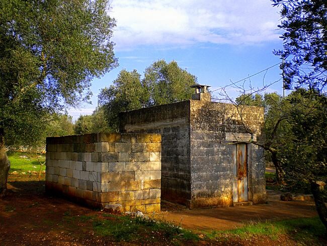 Fotografia zatytułowany „villa e giardino” autorstwa Mario Venza, Oryginalna praca