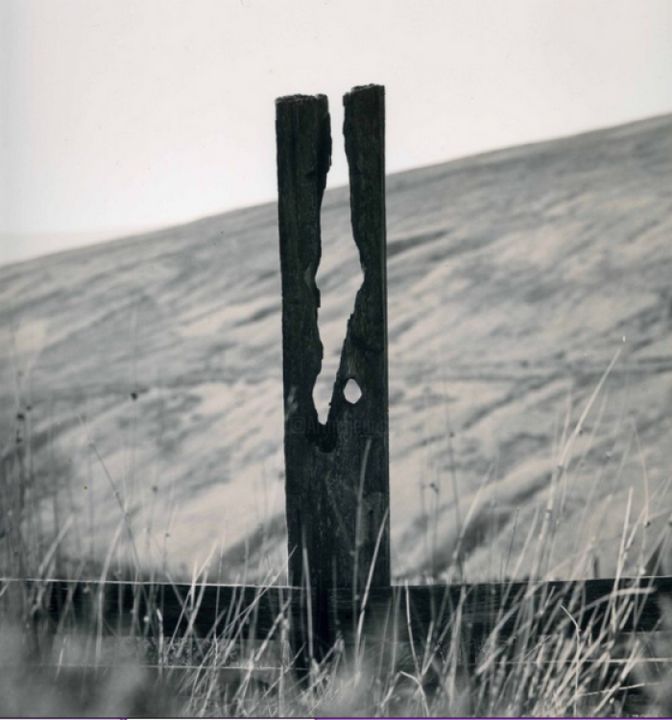 Fotografia zatytułowany „Snow Fence- Dent” autorstwa Mark Snowdon, Oryginalna praca