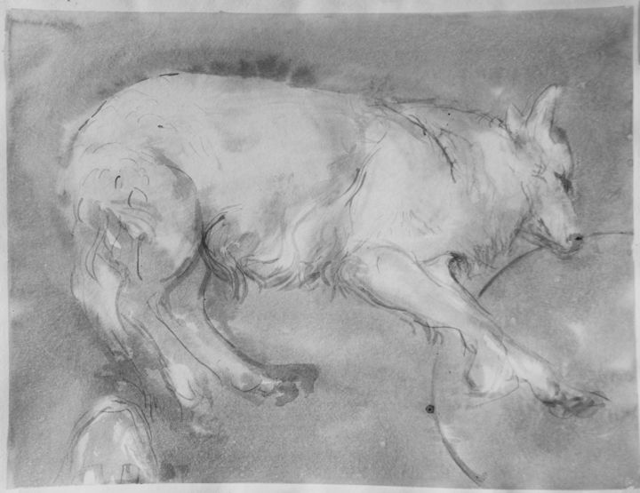 Drawing titled "chien.jpg" by Matthieu Capelier, Original Artwork, Ink