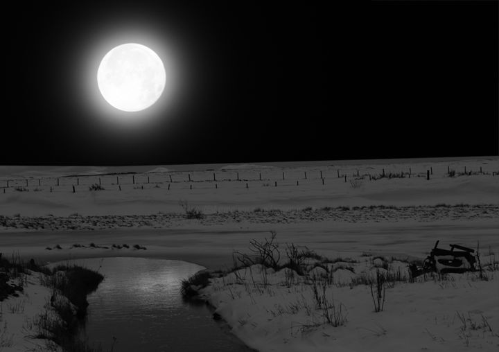 Paysage Noir Et Blanc Digital Arts By Max Parisot Du Lyaumont Artmajeur