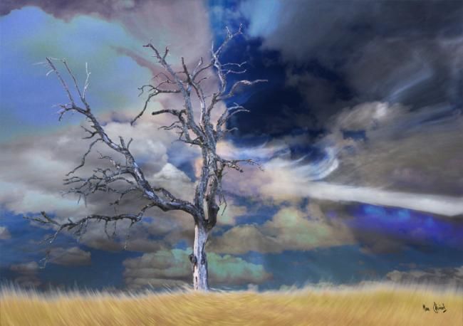 Digital Arts titled "Arbre mort dans un…" by Max Parisot Du Lyaumont, Original Artwork, Photo Montage