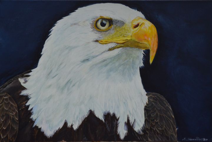 Painting titled "Whiteheaded Falcon" by Muradov, Original Artwork, Oil