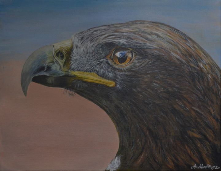 Painting titled "Eagle" by Muradov, Original Artwork, Oil