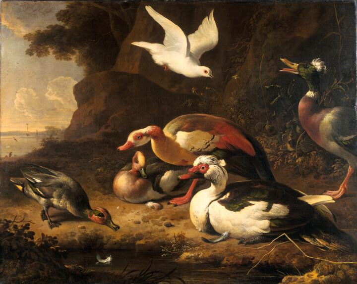 Peinture intitulée "Canards" par Melchior D'Hondecoeter, Œuvre d'art originale, Huile