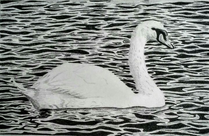 Rysunek zatytułowany „Swan” autorstwa Mendoza Fine Arts, Oryginalna praca, Grafit
