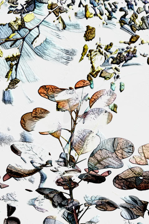 Artes digitais intitulada "Winter Garden" por Richard Cresswell Thomas, Obras de arte originais, Trabalho Digital 2D