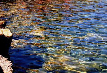 Fotografia zatytułowany „Colors in the Sea” autorstwa Metin Cansız, Oryginalna praca