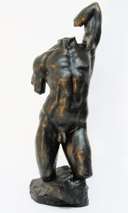 Sculptuur getiteld "Study 21" door Michael A. Craig, Origineel Kunstwerk, Bronzen