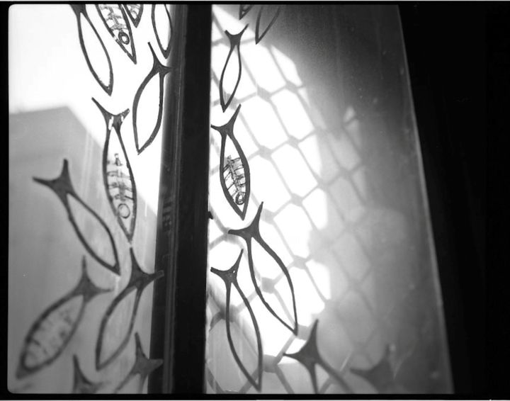 摄影 标题为“Fishes on the window” 由Michal Vojkuvka, 原创艺术品, 电影摄影