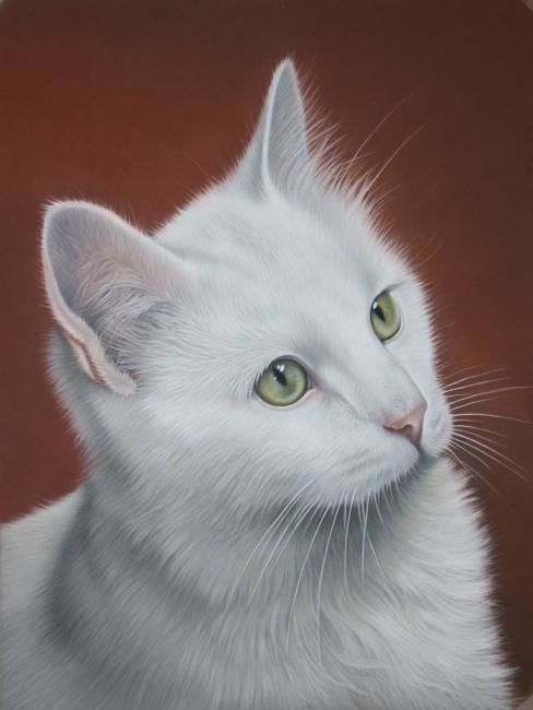 Mac Le Chat Blanc Painting By Christian Michaut Artmajeur