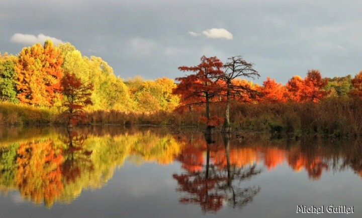 제목이 "Plein feux sur Boul…"인 사진 Michel Guillet로, 원작