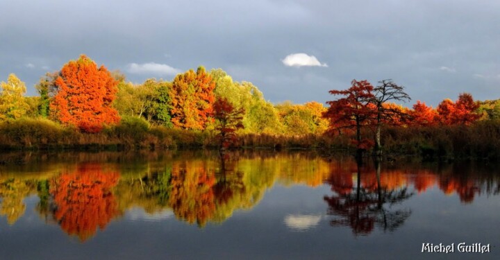 제목이 "Plein feux sur Boul…"인 사진 Michel Guillet로, 원작