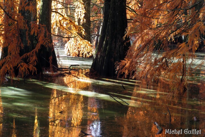 Fotografia intitulada "Ombres et lumière s…" por Michel Guillet, Obras de arte originais