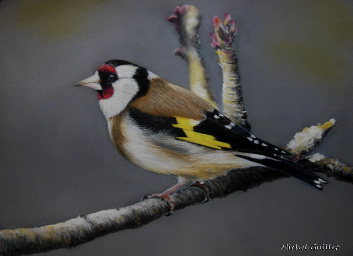 Rysunek zatytułowany „Le petit chardonner…” autorstwa Michel Guillet, Oryginalna praca, Pastel