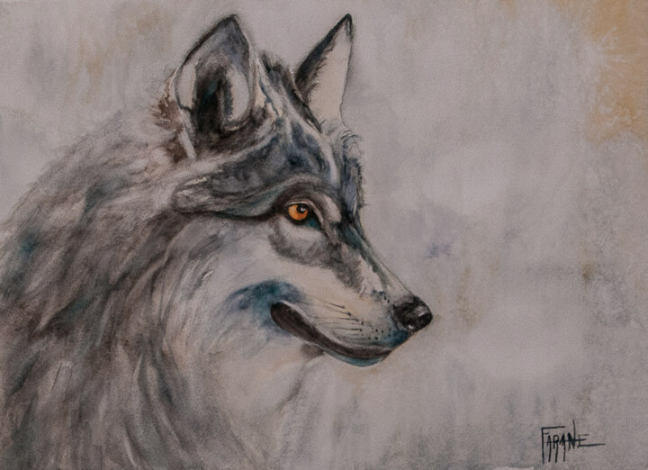 Malarstwo zatytułowany „loup gris” autorstwa Michelle Thébault (Farane), Oryginalna praca, Akwarela