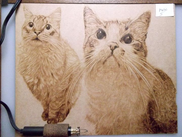 "Gatos" başlıklı Resim M.Arte tarafından, Orijinal sanat, Kalem