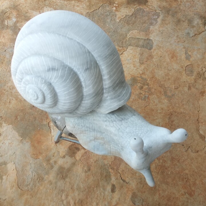 Escultura titulada "caracol" por Moris Bosa, Obra de arte original, Piedra