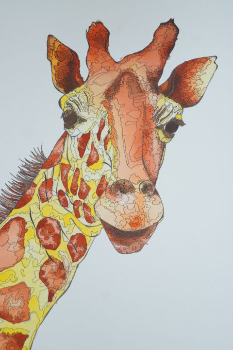 DIY Peinture à lhuile Dessin Toile de Girafe colorée avec des brosses Decor  Décorations Cadeaux Dreamsy Peinture par numéro Kit 16 20 Pouces avec Cadre  Peinture au numéro Jeux et Jouets