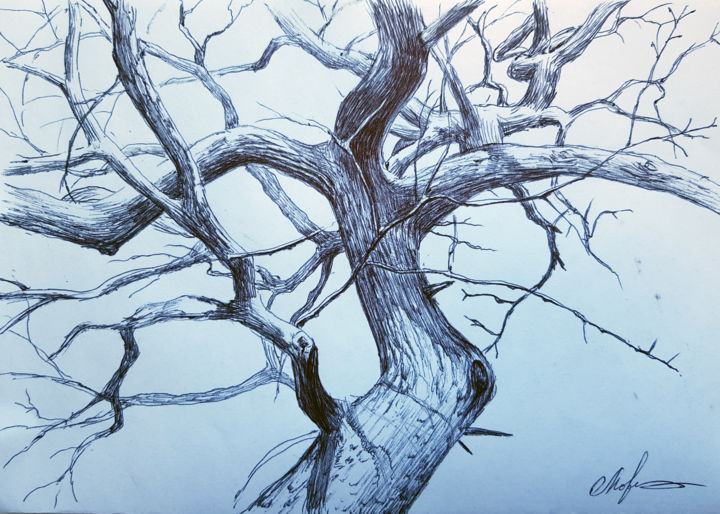 图画 标题为“Tree by pen” 由Tigran Movsisyan, 原创艺术品, 圆珠笔