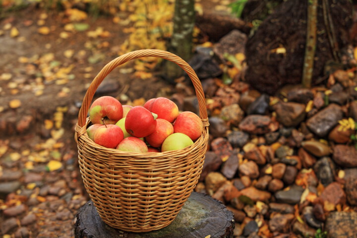 Photographie intitulée "wicker basket with…" par Mrivserg, Œuvre d'art originale, Photographie numérique