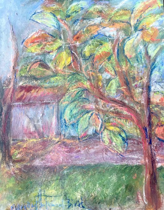 Zeichnungen mit dem Titel "Fall persimmon tree" von Margaret Solomon-Bird, Original-Kunstwerk, Pastell
