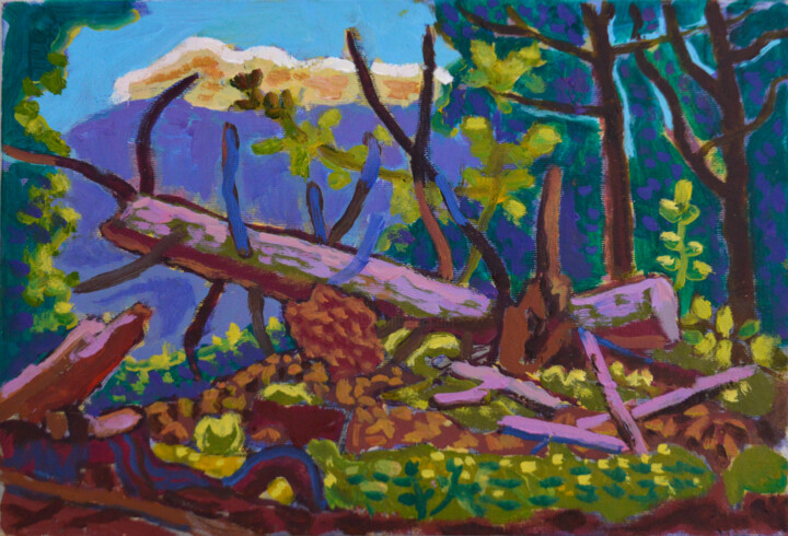 绘画 标题为“Forest in the mount…” 由Mykola Kozlovskyi, 原创艺术品, 油 安装在纸板上