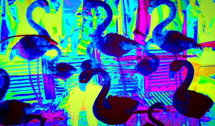 Digital Arts titled "oh-des-flamants-ble…" by Mysane, Original Artwork, Photo Montage