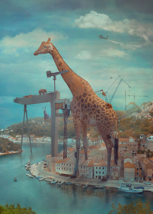 Arts numériques intitulée "High and Away, 65x4…" par Nikolina Petolas, Œuvre d'art originale, Photo montage