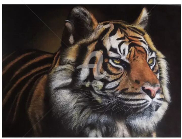 Рисунок под названием "Tigre" - Ninon Cobergh, Подлинное произведение искусства, Пастель