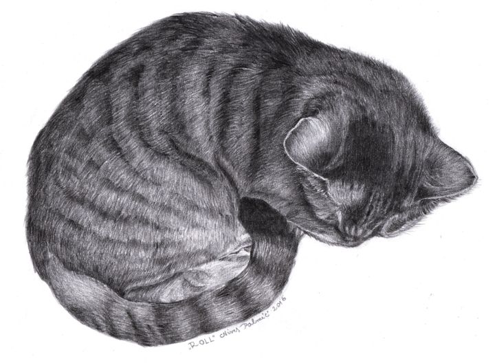Drawing titled "ROLL" by Nives Palmić, Original Artwork, Graphite
