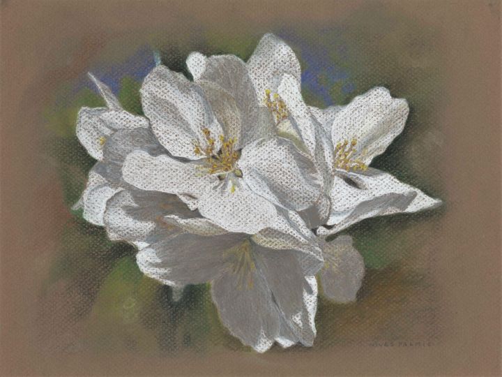 Dessin intitulée "SPRING BLOSSOMS" par Nives Palmić, Œuvre d'art originale, Pastel