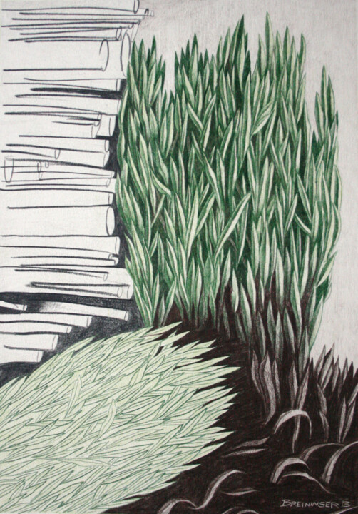 Rysunek zatytułowany „Gras und Rohre _  g…” autorstwa Oleg Breininger, Oryginalna praca, Ołówek Zamontowany na Inny sztywny…