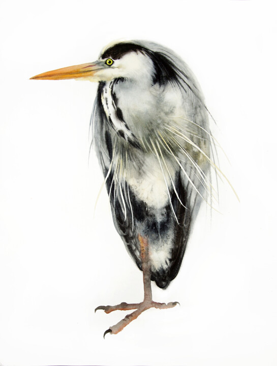 Pintura titulada "Grey Heron Standing…" por Olga Beliaeva, Obra de arte original, Acuarela