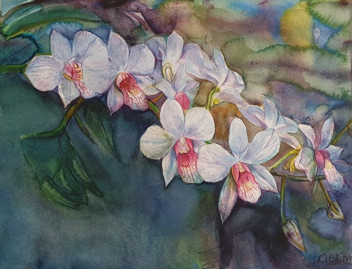 Painting titled "White Orchids" by Olga Brink, Original Artwork, Watercolor