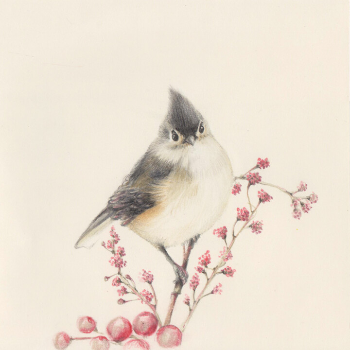 Dessin intitulée "Bird" par Olga Trifonova, Œuvre d'art originale, Crayon
