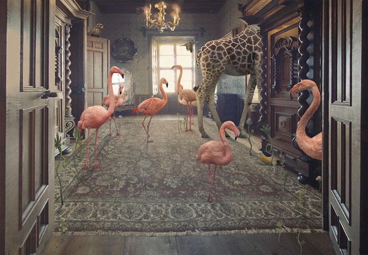 O sucesso do flamingo na arte contemporânea