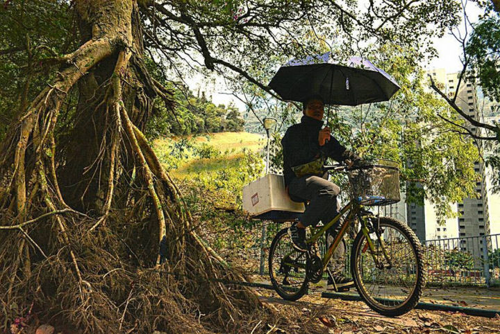 Photography titled "nature bike hk" by Olivier Barbaud, Original Artwork, Digital Photography