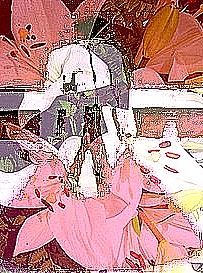 Grafika cyfrowa / sztuka generowana cyfrowo zatytułowany „matador-lys rose” autorstwa Onaria, Oryginalna praca