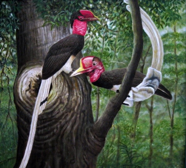 Peinture intitulée "Helmeted Hornbill" par Ong Sookeat, Œuvre d'art originale, Huile